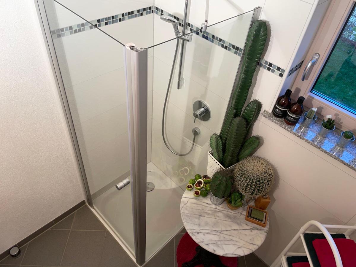 Limes Apartment -Uebernachten Am Limes- Rainau Εξωτερικό φωτογραφία