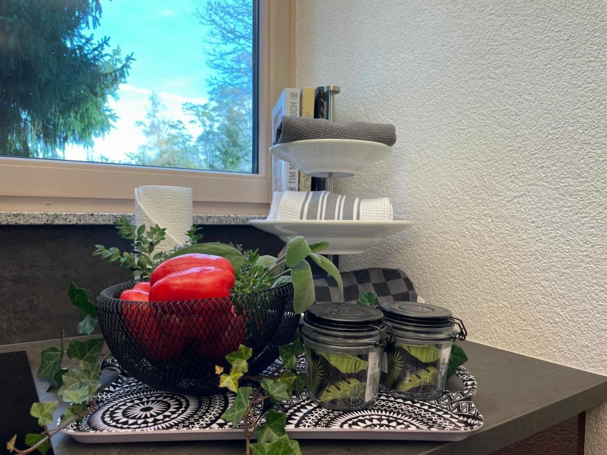 Limes Apartment -Uebernachten Am Limes- Rainau Εξωτερικό φωτογραφία